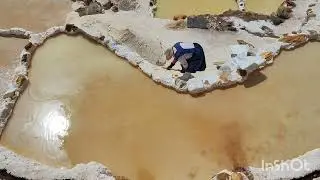 Maras & Moray