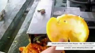 Commercial Orange Juicer Machine Production Line -- High Production & Automatic System