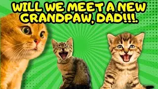 When a Cat Wants to Introduce a New Family Member to His Kittens (part 1) (Ep.550)