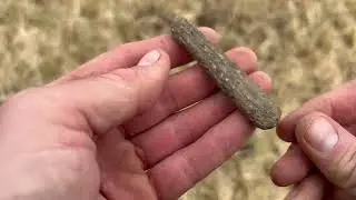 A day in the life of The Scottish Detectorist &hellip;. persistence pays off! 🤩