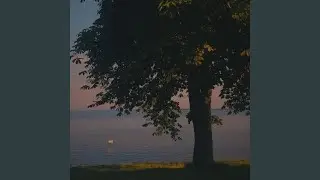 Night Comes Gently