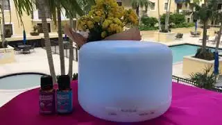 Aromatherapy Starter Kit - 6 Oils and Diffuser - PuraMind