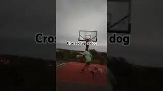 bro wanted a 1v1 💀 #basketball #chasebuckets