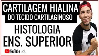 Aula: CARTILAGEM HIALINA DO TECIDO CARTILAGINOSO │Aula de Biologia Ens Superior