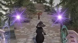 Witch Dragon Unleashes 450 Spells on What? | SKYRIM