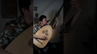 Monteverdi &ndash; Si dolce &egrave;'l tormento | Theorbo Solo Version (Short Performance)#baroquemusic #lute