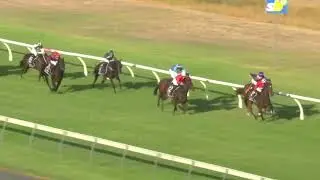 Pacific Jewel | ABR winner