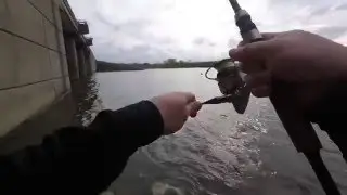 NEO Bass Fishing Alum Creek Dam and Reservoir