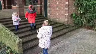 Avifauna