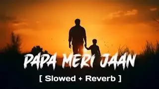 PAPA MERI JAAN :ANIMAL | FATHER'S DAY SPECIAL SONG | RANBIR  KAPOOR,ANIL KAOOR | VDTHAKOR1K   