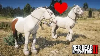 Iniciando a criação de GYPSY COBS - A FAZENDA DE JOHN MARSTON - Red Dead Redemption 2