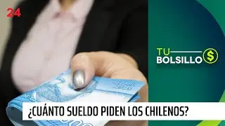 ¿Cuánto es el sueldo que piden los chilenos? | 24 Horas TVN Chile