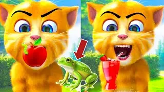 Talking Ginger Funny Videos 🍎🍓🍄 | my talking tom | my talking ginger |