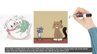 A cat and Mouse Partnership