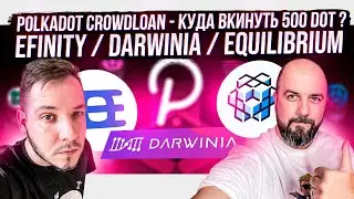 POLKADOT CROWDLOAN - КУДА ВКИНУТЬ 500 DOT ??? EFINITY / DARWINIA / EQUILIBRIUM