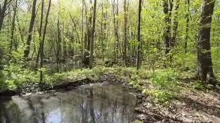When You&rsquo;re Empty and God Feels Silent &mdash; Watch This - Isaiah 41 vs 17