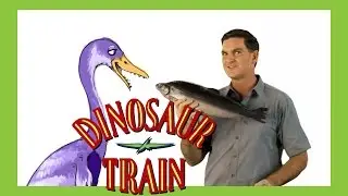 Hesperornis - Dinosaur Train - The Jim Henson Company
