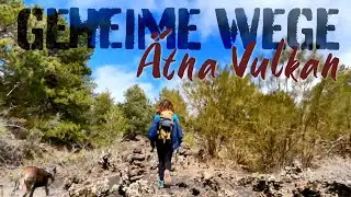Sizilien Road Trip - Ätna Vulkan Wanderung #reisetipps #vanlife EP.7