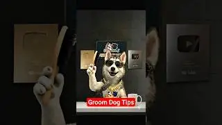 how to groom a labrador retriever | Ultimate Labrador Grooming Guide 🛁 | Easy Tips for Healthy Dog