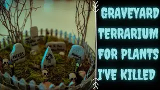 Building A Graveyard Terrarium For Plants That I've Killed 👻