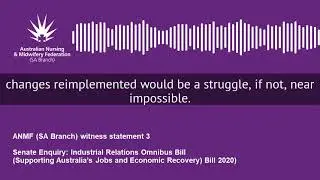 ANMF (SA Branch) Witness Statement 3 Senate Enquiry: Industrial Relations Omnibus Bill
