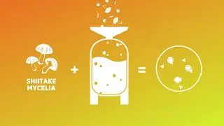 Zhou Plant Complete Perfect Plant Protein
