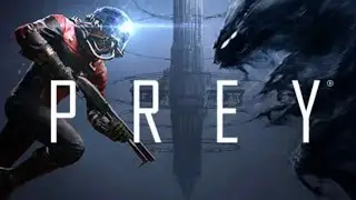 PREY : 19 / 23.