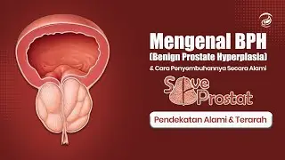 Get to know BPH, its causes, symptoms, and how to treat it naturally with the saveprostat program.