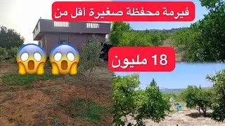 فيرمة صغيرة محفظة فيها اشجار زيتون فيها شجرة اليمون وفيها أيضا أشجار شفرجل فيه هادشي كامل ب 18 مليون