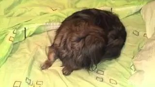 20130510 231235