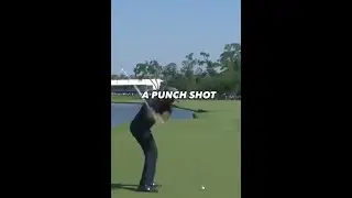 How to Hit a Punch Shot🚩