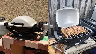 Weber Q1000 Liquid Propane Grill, Titanium | Best Propane Grill | Best Propane Grill Under $300