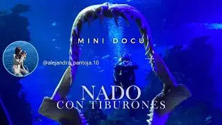 NADANDO con TIBURONES en Mazatl&aacute;n Ale Pantoja