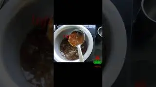 Ginger Tea with Jaggery | Healthy & Tasty | No Sugar | Info Q