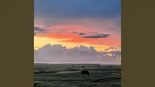 V&aelig;k