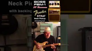 THE SMOOTH NECK PICKUP OF A VINTAGE STRAT WITH THE BOSS FBM-1 59 BASSMAN, a very cool sound
