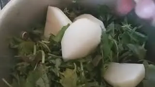 Ishara's vegetarian recipes - Braised red herbs (bhaji).  Ingredients and method found in video.