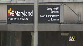 Maryland Unemployment Claims Fall By More Than Half, State's Labor Department Reports