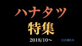 去年から居着いているハナタツをいろんな角度でどうぞ！！ 小田原市江之浦のダイビングサービス【ハナタツ】