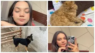 Jen na ak qabotar kaha lia😢||Dinner pa jana ka lia tyr hoi🥰🫰|| Dinner ka plan cancel 😭||HF 46