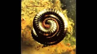 Nine Inch Nails - Closer (DT Remix)