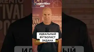 ИДЕАЛЬНЫЙ ФУТБОЛИСТ ЗИНЕДИНА ЗИДАНА // ЧЬЯ ЛЕВАЯ ЛУЧШЕ ВСЕХ, А ПРАВАЯ?