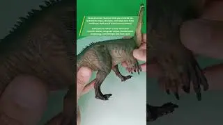 Suchomimus Papo unboxing & review: tra paleontologia e pop culture! #dinosaur #model #giftedby #papo