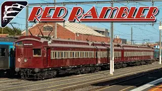 Classic Suburban Rambler | Steamrail's Tait Members Train