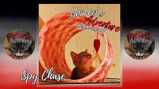 Spy Chase Music Lyrics