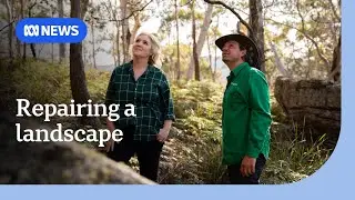 Billionaire Canva co-founder and wife focus fortune on conservation &mdash; and profit | ABC News