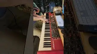 GROOVY ELECTRIC PIANO LICK #shortsfeed #music #musician