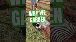 The Secret to an Exciting Future? Grow a Garden!
