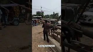 Stupid people at Busy rail crossing gate. #railway #shorts #railgate