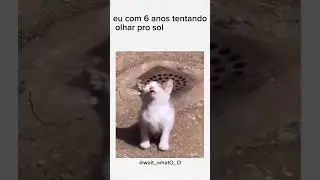 meme #reggae #tentenaorir  #humor #memes  #tenten&atilde;orir #engra&ccedil;ado #shortsengra&ccedil;ado #viral #shorts